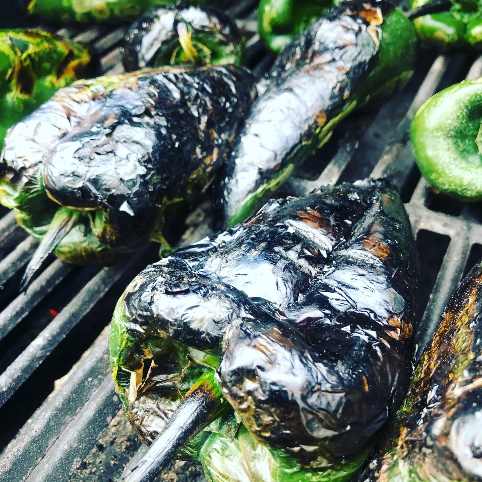 Fresh peppers blistering over the grill